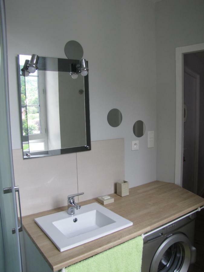 Appartement De Charme A La Montagne Ax-les-Thermes Dış mekan fotoğraf